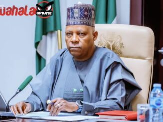 President Tinubu declares seven days of mourning Buhari