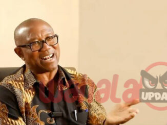 experts-in-bullying-and-intolerance-bashir
