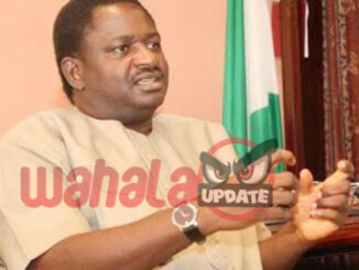 NMA: Blasts Adesina’s Healthcare Remarks