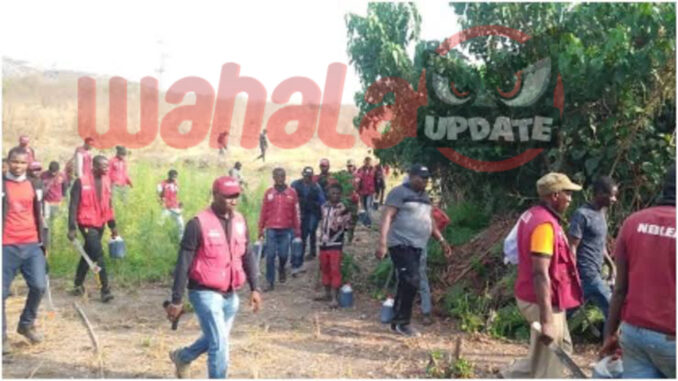 NDLEA Operative Killed in Ambush by Suspected Drug Peddlers NDLEA Operative Killed in Ambush by Suspected Drug Peddlers