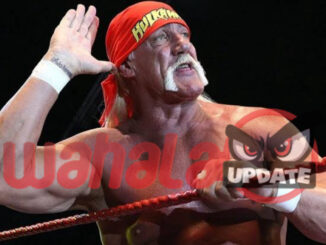 Hulk Hogan WWE legend dies at 71 years