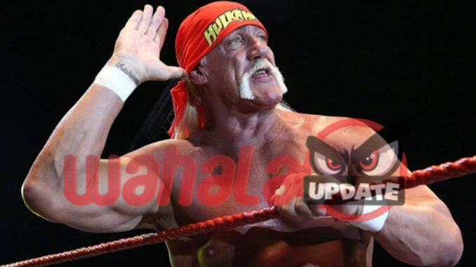 Hulk Hogan WWE legend dies at 71 years