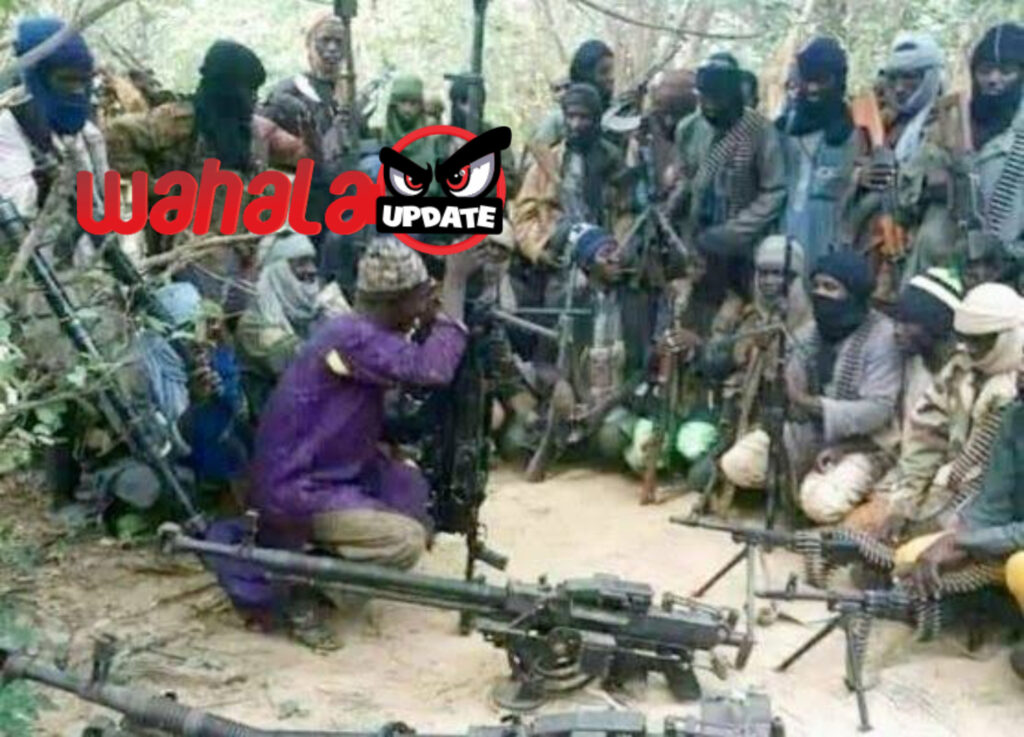 At Least 14 Killed in Plateau Terror Attack