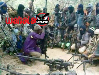 At Least 14 Killed in Plateau Terror Attack