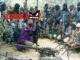 At Least 14 Killed in Plateau Terror Attack