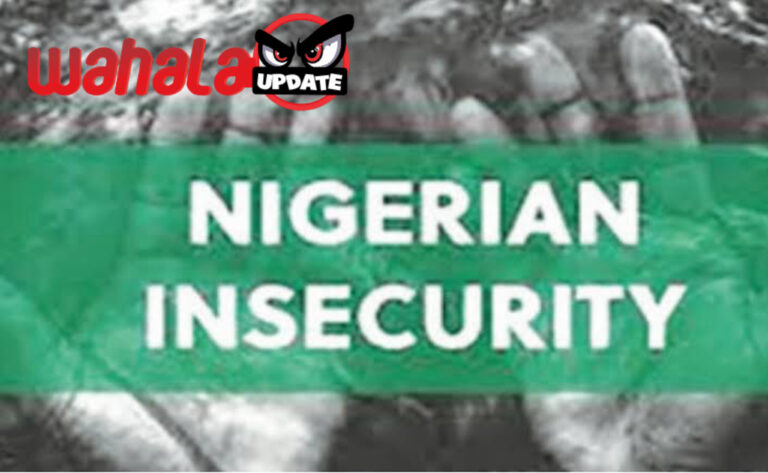 Presidency Claims Major Progress on Insecurity; Critics Dispute Reality