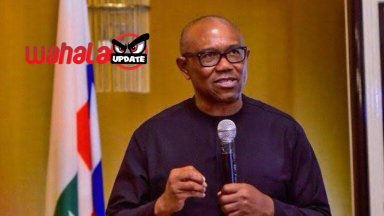 Peter Obi cleared of financial misconduct