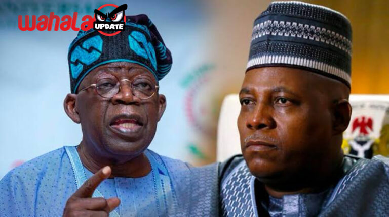 Only Death or Health can stop Tinubu’s 2027 re-election - Ojo