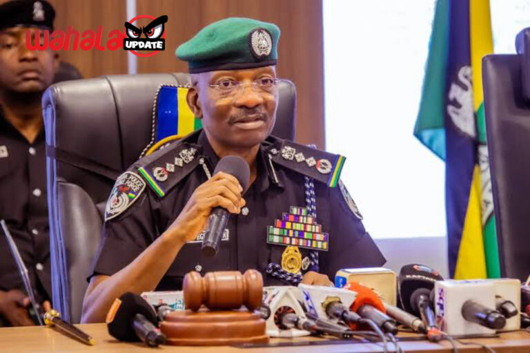 IGP of Police orders new commands in Benue amid crisis