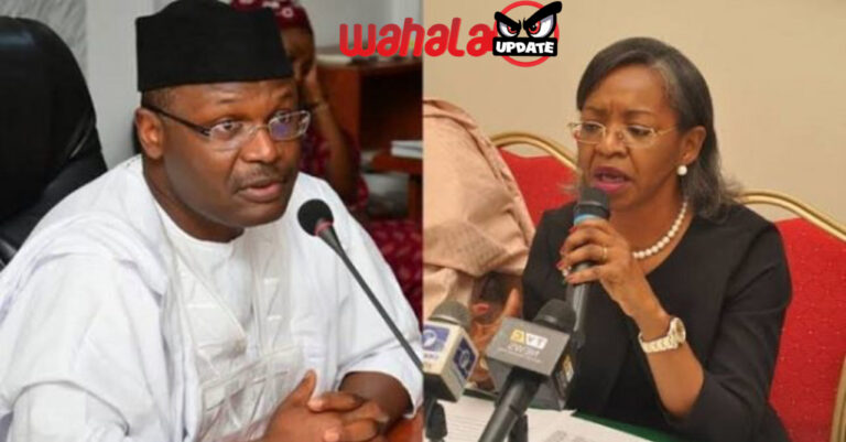 May Agbamuche-Mbu becomes new acting INEC chairman