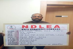 NDLEA Nabs Pastor, Wife, Others in Lagos Drug Bust